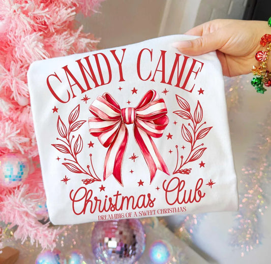 Pre-Black Friday Sale -  Comfort Color Tee